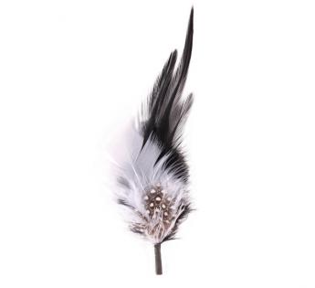 Plumes pour chapeau Hat Feather